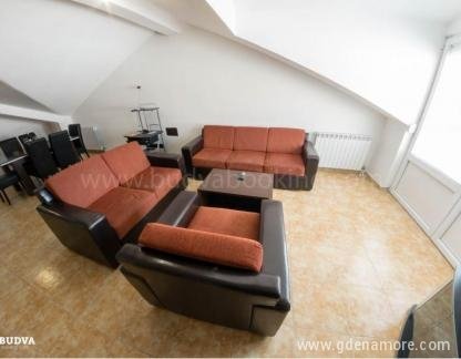 Vila More, Lux apartman 1, Частный сектор жилья Будва, Черногория - BBBF0DEC-835C-41D6-BD66-CD1F1CA33C40 (1)